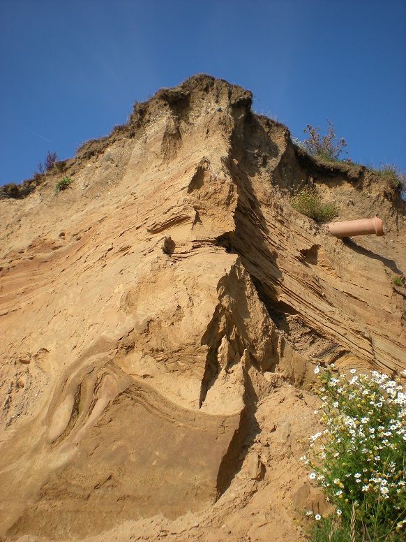  Barmston cliff (4): 15 September 2011 