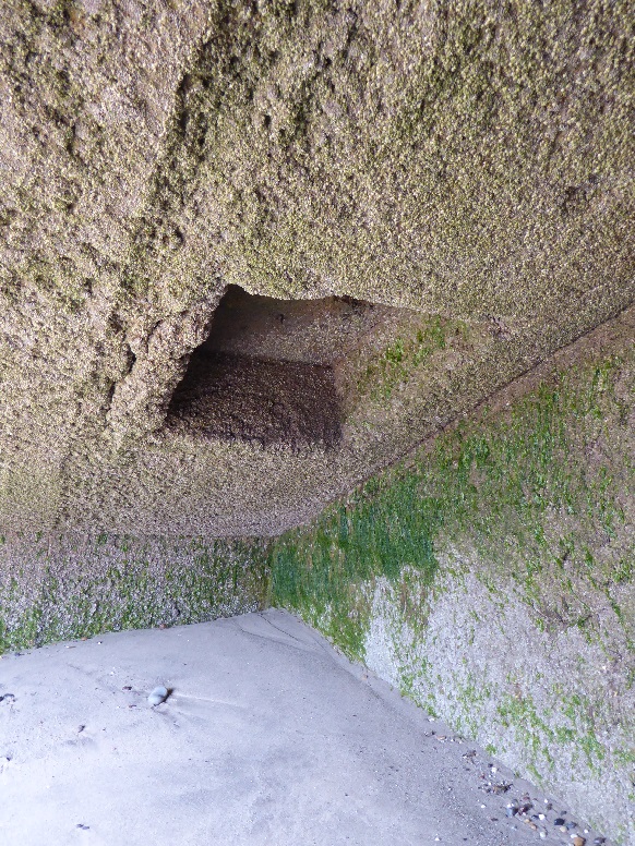  Cowden gunnery range shelter 'D' (3) 