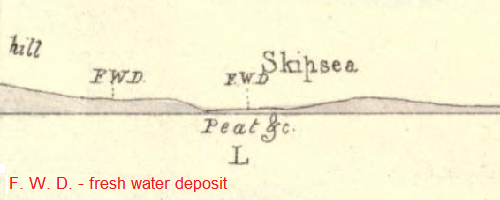  Phillips (1829) field sketch: section L showing Skipsea Withow 