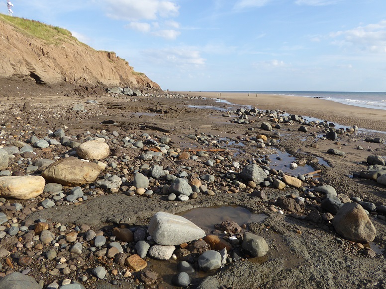 Easington north: 29 July 2024 