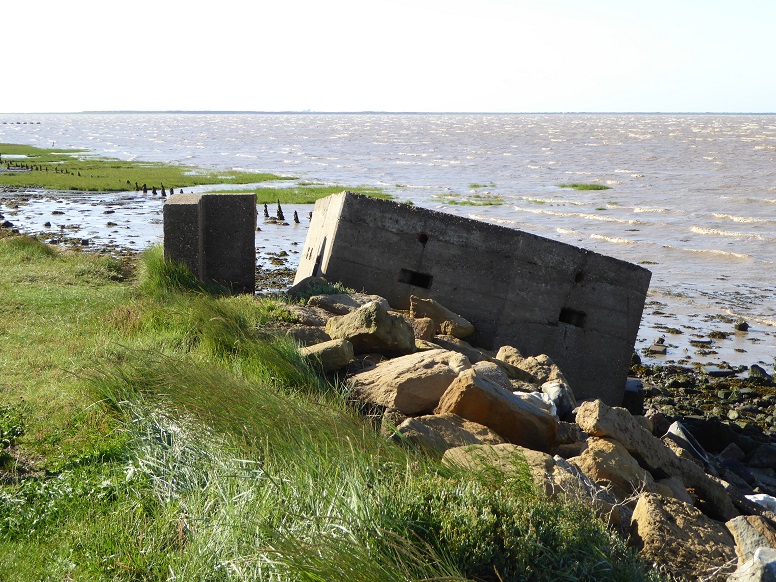  Kilnsea pillbox: 11 August 2014 